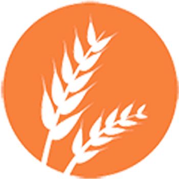 alergen de gluten