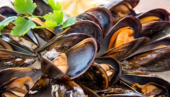 steamed mussels with white wine